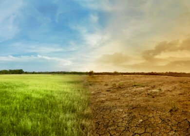 China deploys drought-resilient algae to stabilize desert land