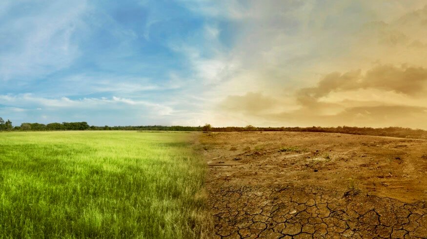 China deploys drought-resilient algae to stabilize desert land