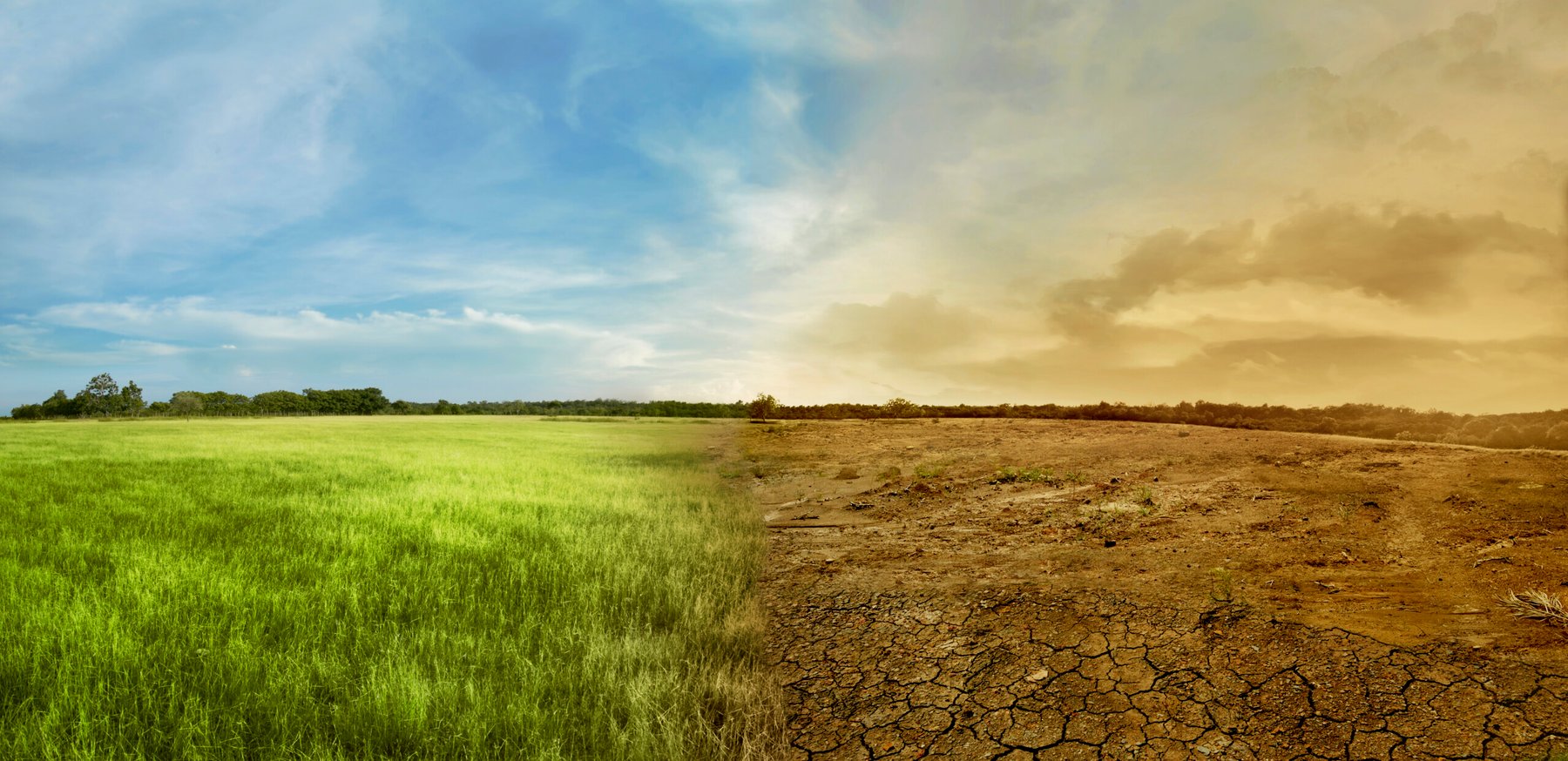 China deploys drought-resilient algae to stabilize desert land