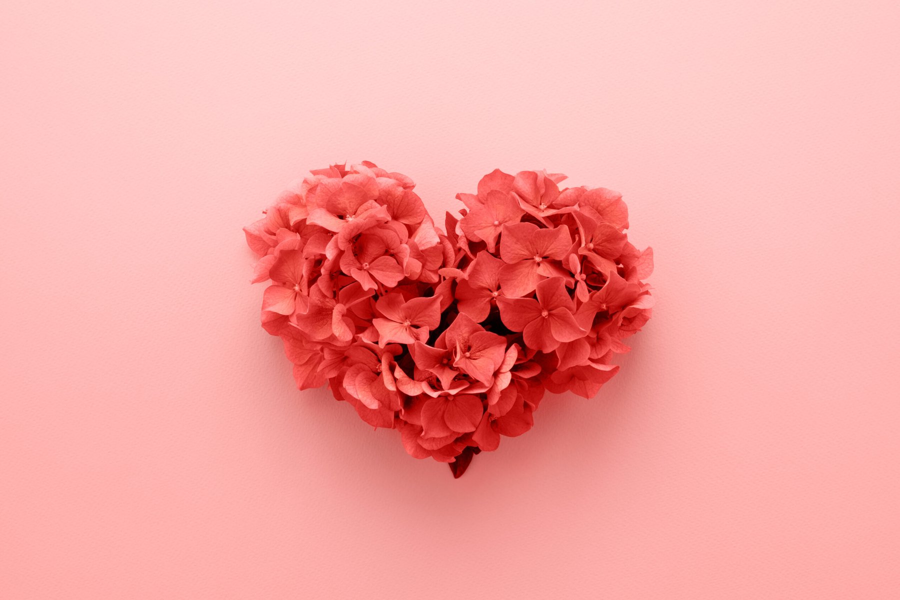 Valentine’s Day gardening tip: Houseplants with heart-shaped appeal