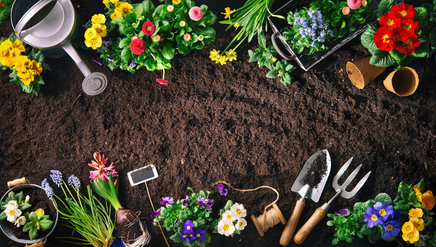 National Garden Bureau launches seed-buying guide as home gardening demand grows