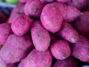 Global appetite for ube strains Philippine supply as farmers struggle to expand production