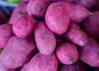 Global appetite for ube strains Philippine supply as farmers struggle to expand production