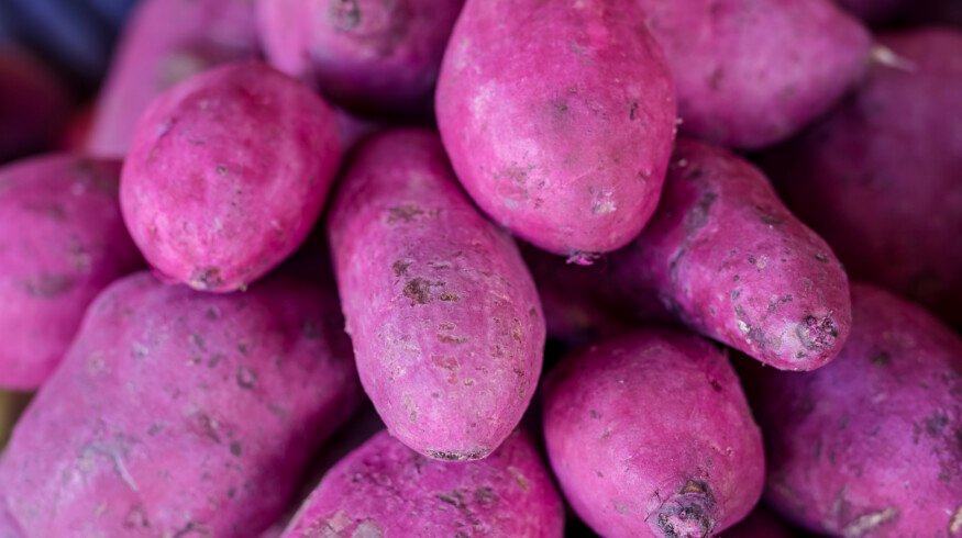 Global appetite for ube strains Philippine supply as farmers struggle to expand production