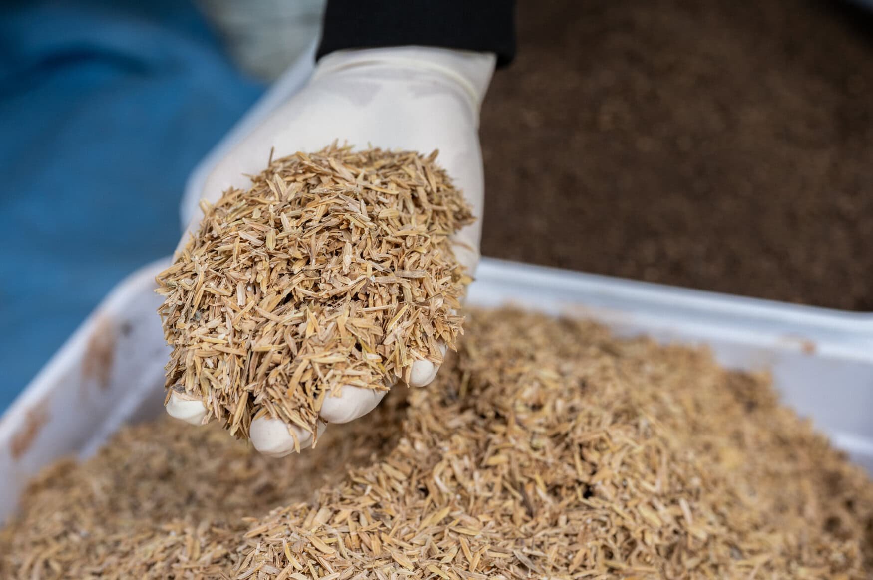Rice husk carbonization gains traction as circular agriculture solution