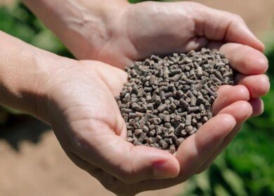 Windfall Bio’s Josh Silverman: ‘We are transforming methane from a cost into a revenue stream’