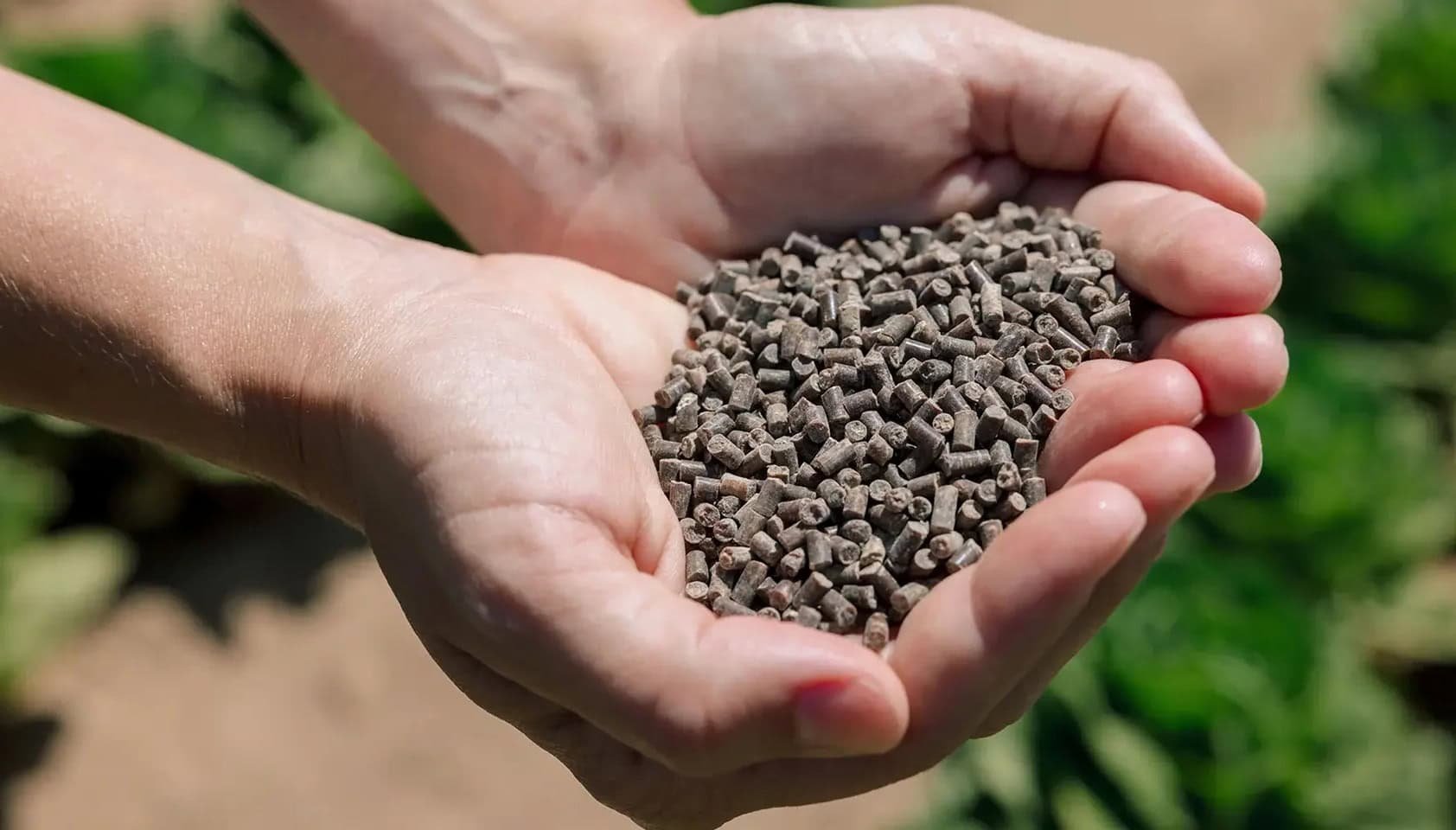 Windfall Bio’s Josh Silverman: ‘We are transforming methane from a cost into a revenue stream’