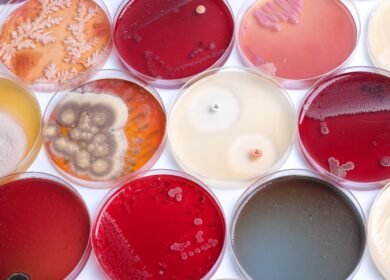 Renaissance BioScience secures Genome BC funding to build yeast discovery platform