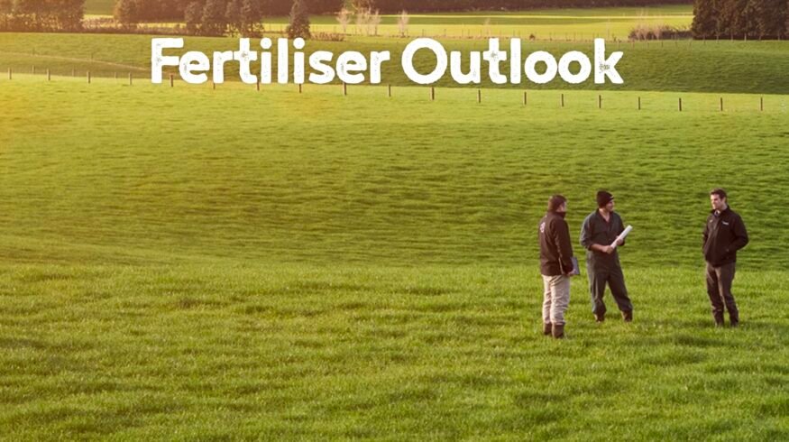 Ballance Agri-Nutrients issued 2026 global fertilizer markets report