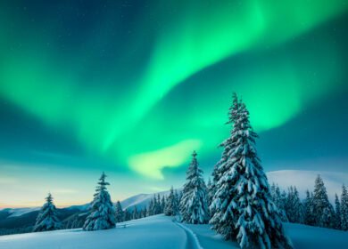 Higher water levels could turn cultivated Arctic peatlands into a carbon sink