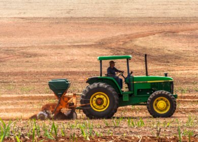 PhosAgro expands fertilizer shipments to Brazil, lifting import share to 16%