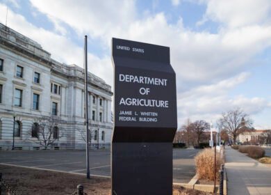 USDA allocates $212 million to boost agricultural exports under MAP and FMD
