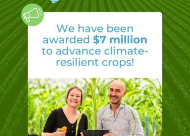 Rainbow Crops receives $7 million Gates Foundation grant for climate-resilient crop research