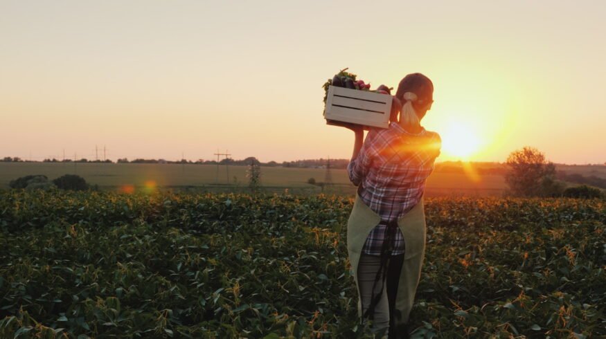 USDA allocates $26.8 million to expand local food markets for farmers