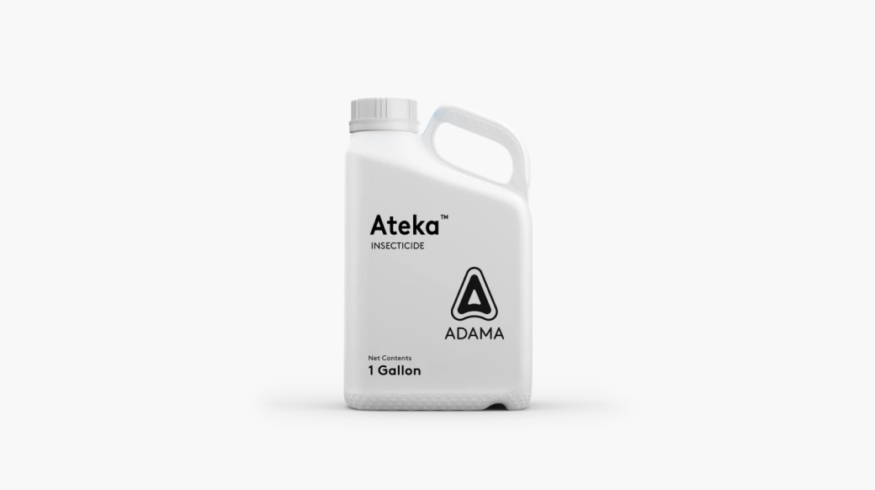 ADAMA launches Ateka insecticide to combat sucking pests in fruit and vegetable crops