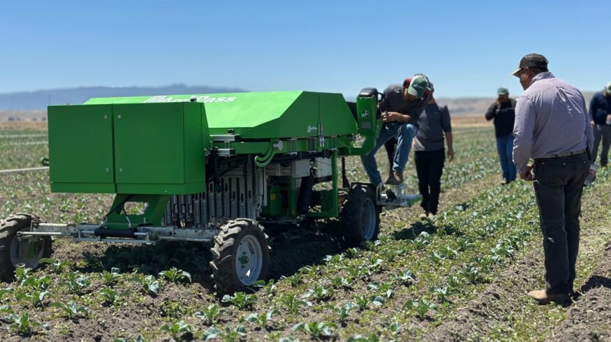 AgriPass’s Liron Yanay: ‘We make the high-tech more accessible to farmers who really need it’