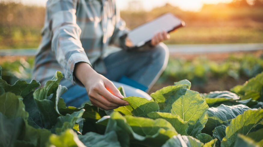 U.S. agencies unveil $1 billion plan to modernize farms and strengthen food supply security