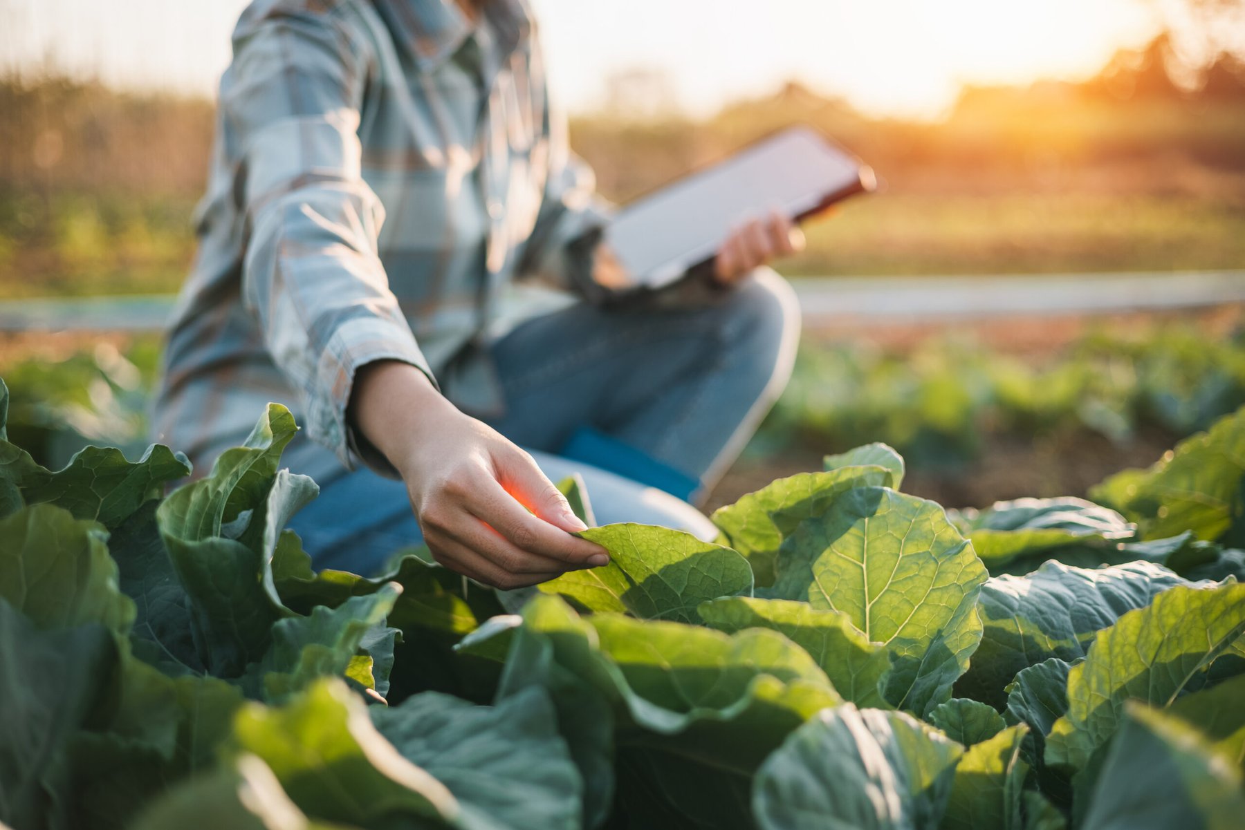 U.S. agencies unveil $1 billion plan to modernize farms and strengthen food supply security