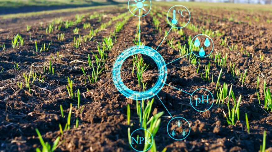 Syngenta experiments with new technology that “listens” to crops under pest attack