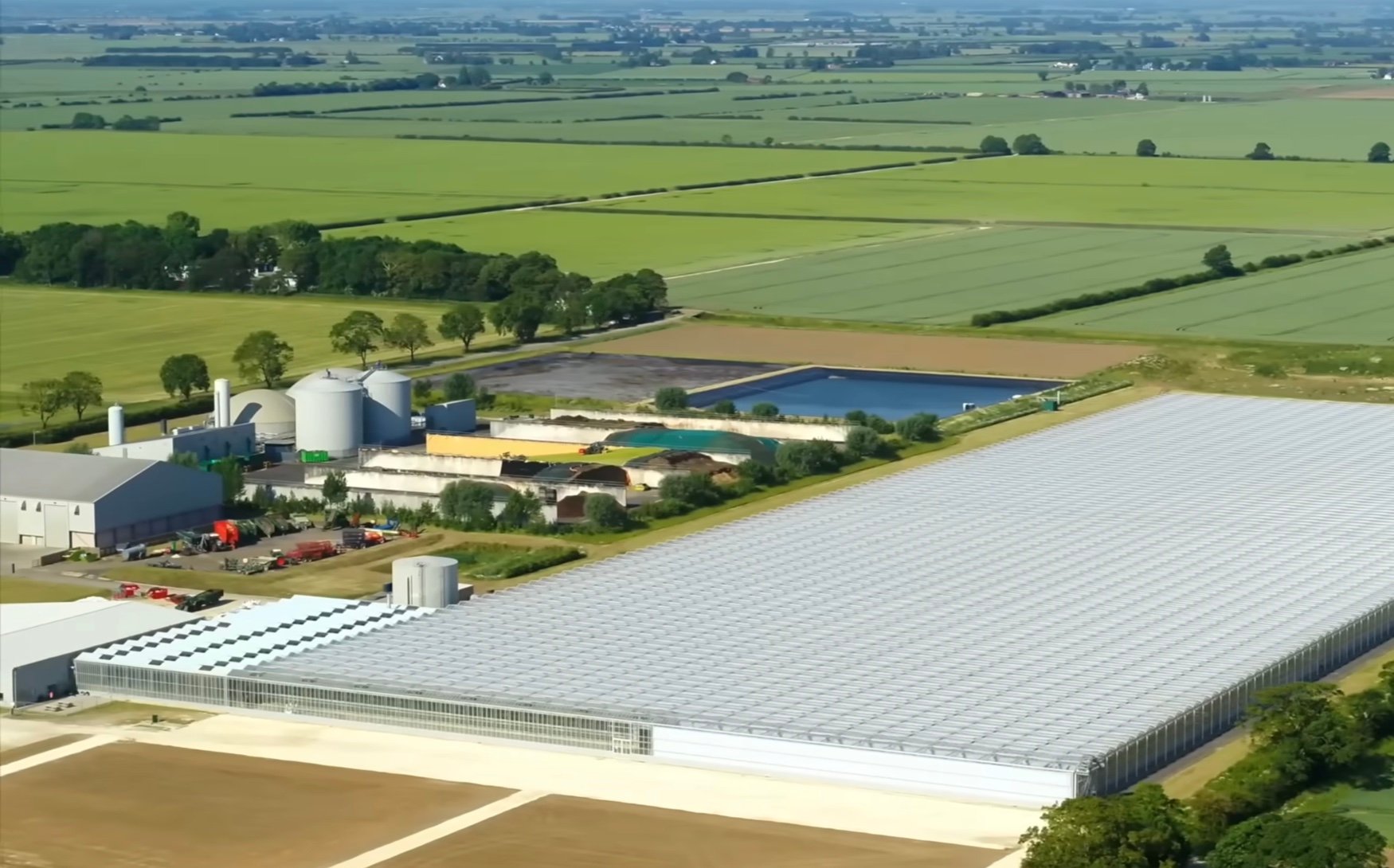 Dyson Farming backs low-input potato project to cut fertilizer and fungicide use