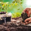 True Organic expands into retail soils with new potting and planting collection for home gardeners