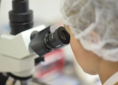 Fertiberia launches NSAFE bio-inhibitor in Germany and Netherlands