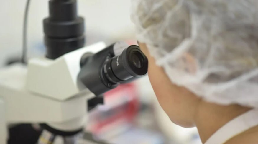 Fertiberia launches NSAFE bio-inhibitor in Germany and Netherlands