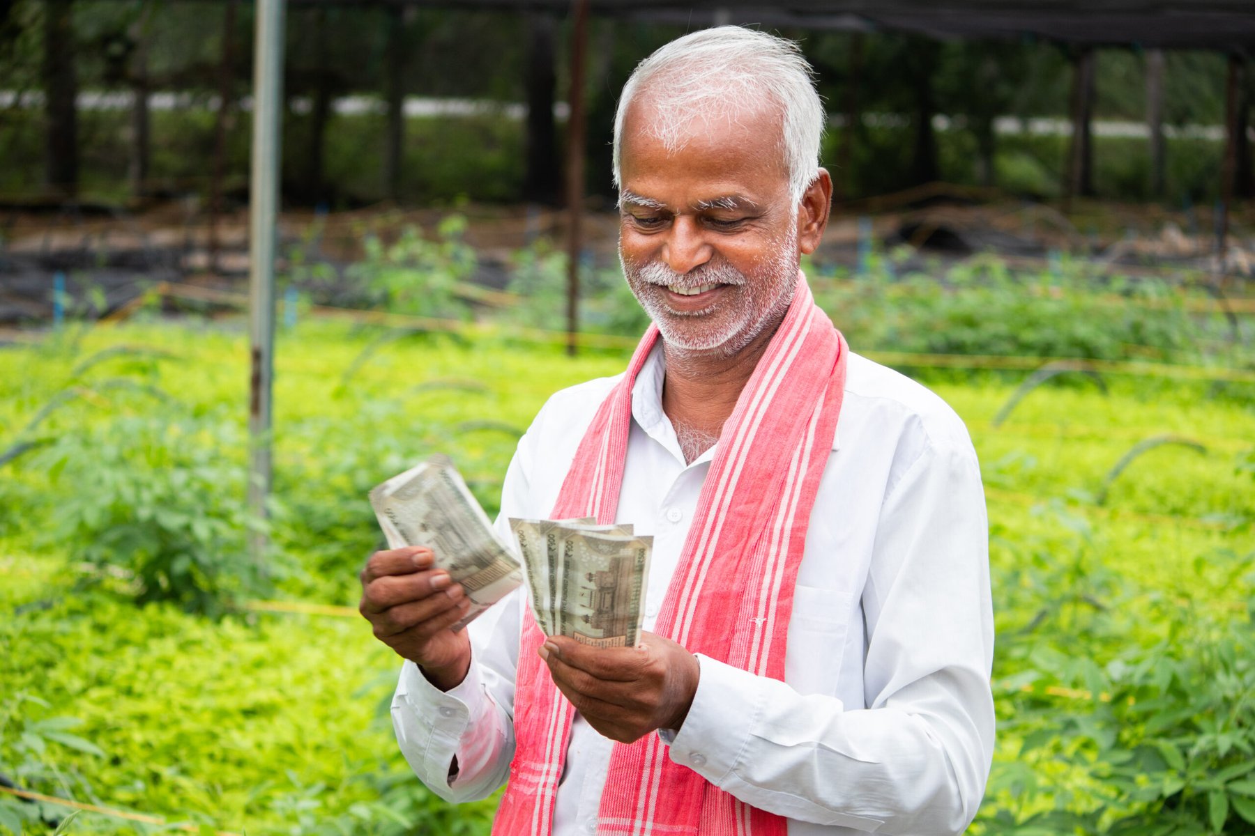 Indian Prime Minister calls for export-oriented shift in agriculture