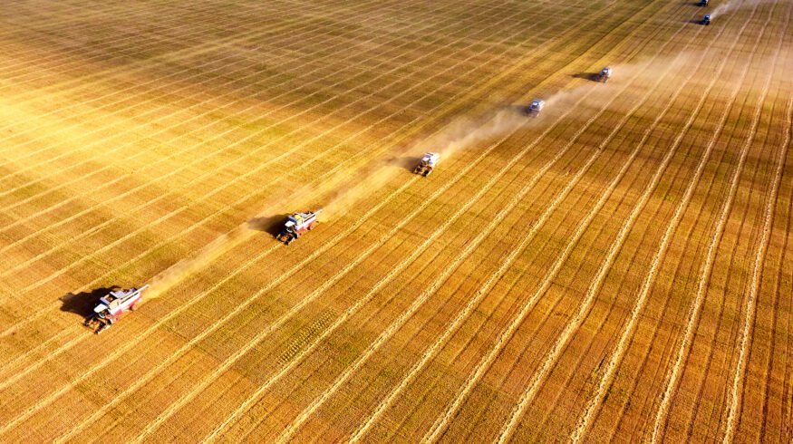 Kazakhstan wheat exports near record as feed flour shipments to China surge