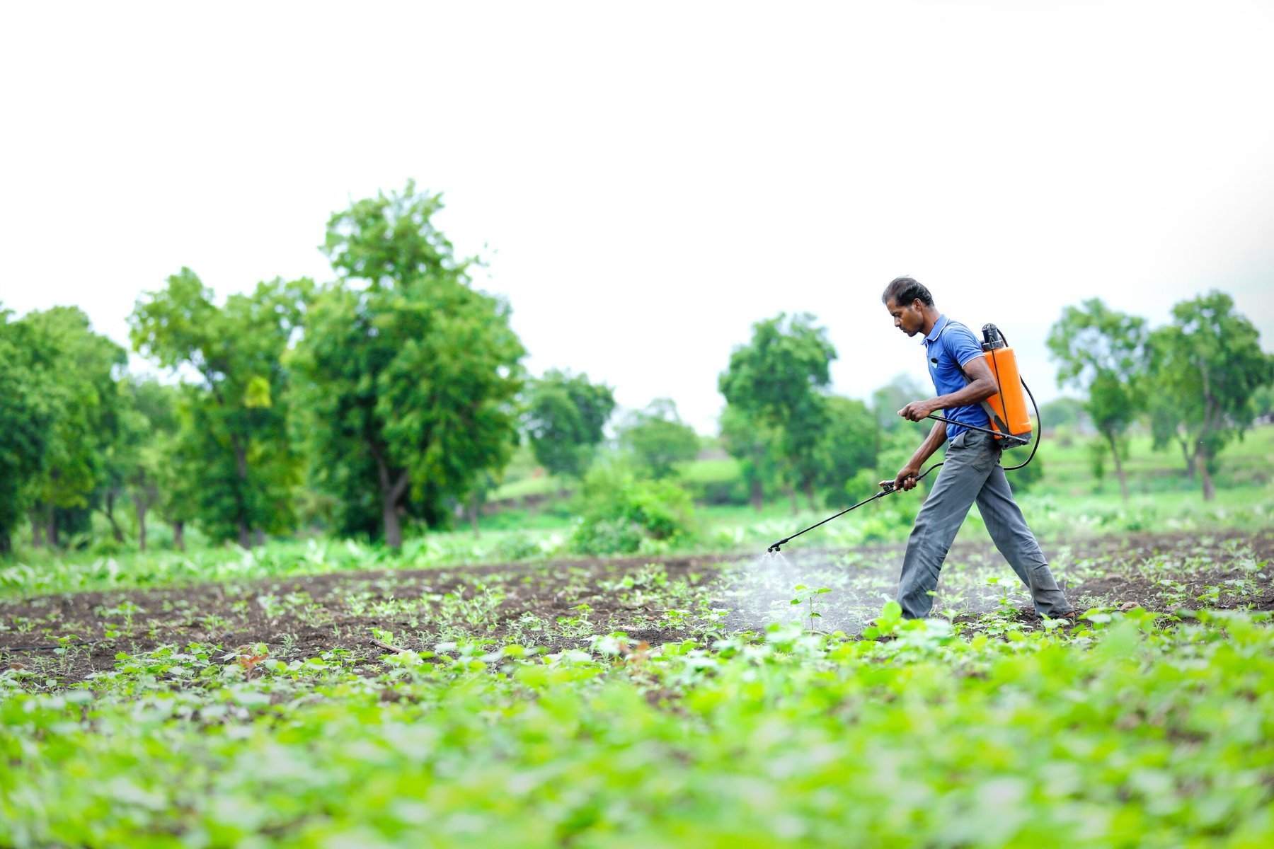 India seeks alternative fertilizer supplies to secure stocks ahead of summer season