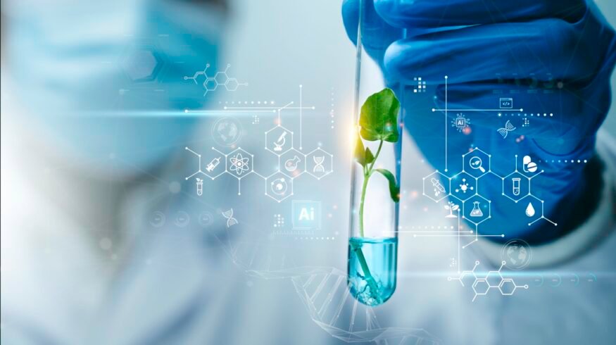 How modern agricultural laboratories are reshaping precision farming decisions