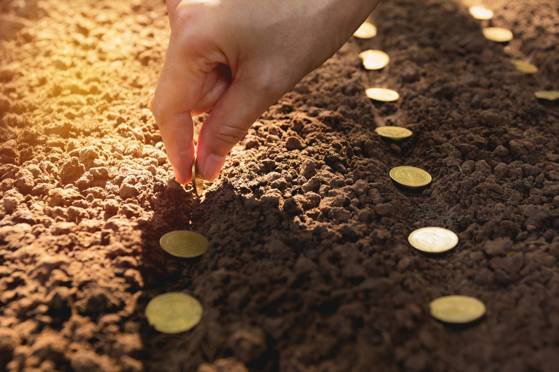U.S. farm groups press Mosaic and Simplot to drop support for phosphate import duties