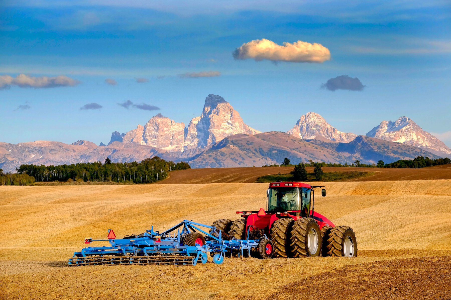 Facing tighter margins farmers upgrade older planters instead of buying new equipment