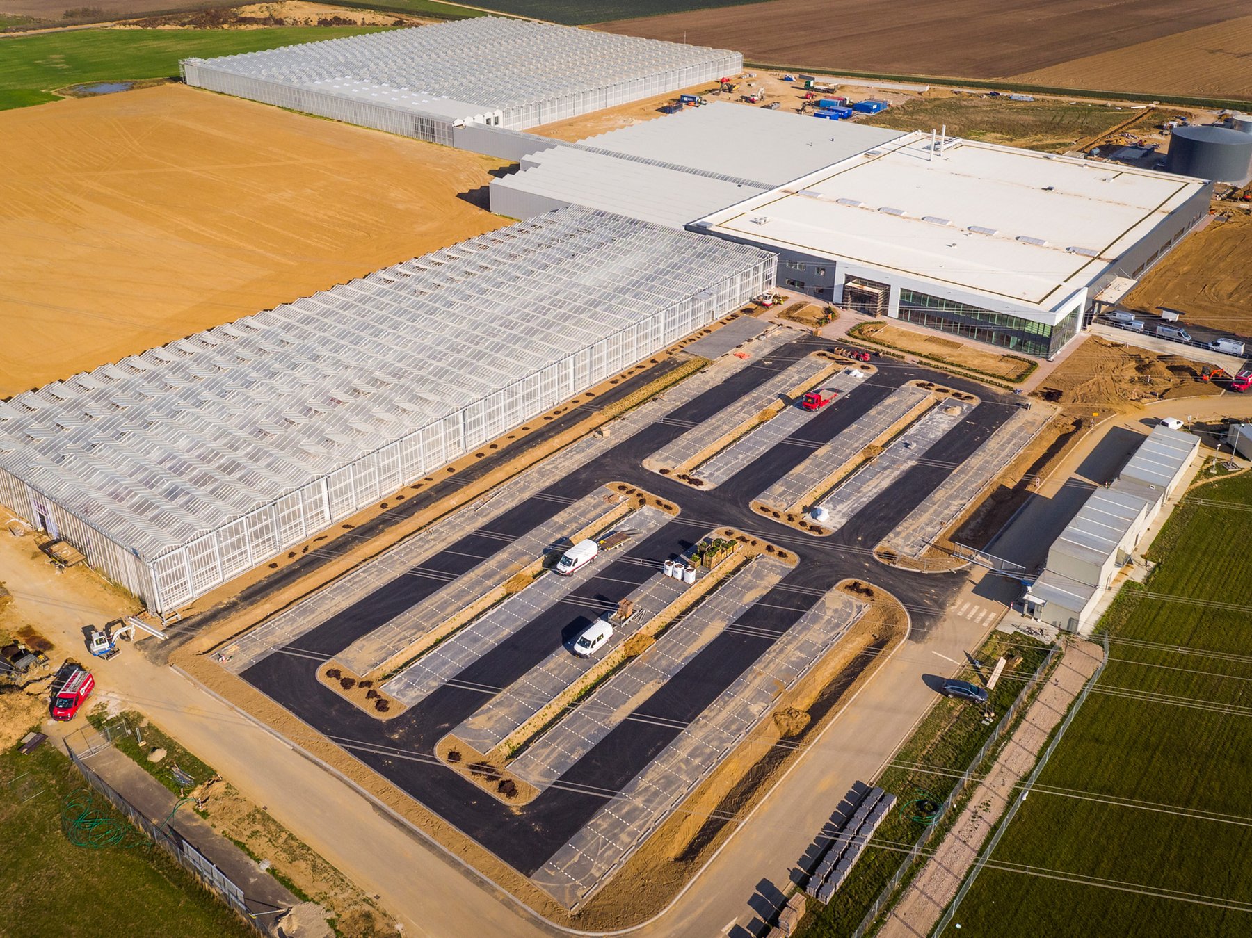 BASF invests €40 million to expand seed processing operations in Nunhem, Netherlands