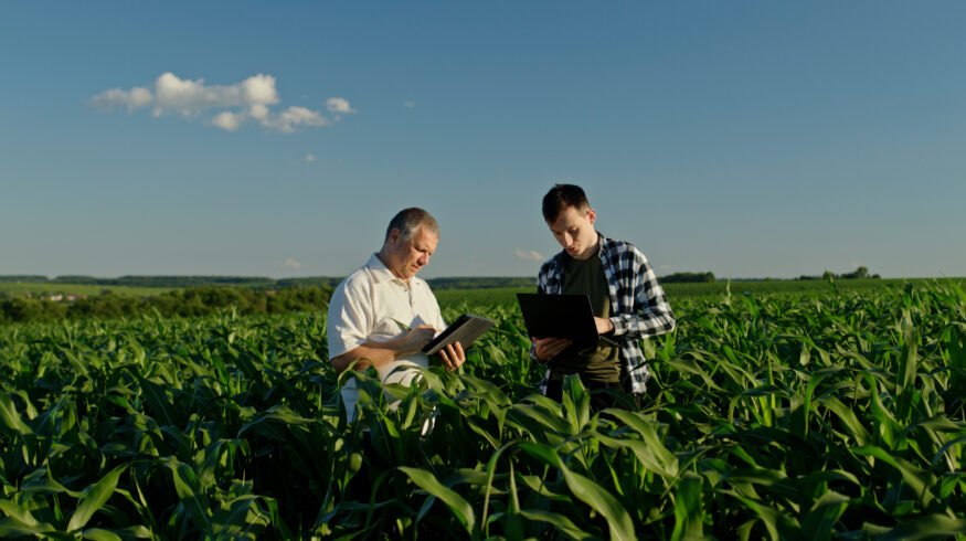 USDA announces $275 million specialty crop funding boost