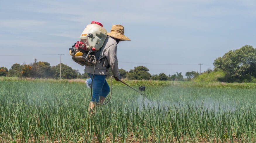 Mexican farmers seek tariff relief on Chinese fertilizers as supply risks mount