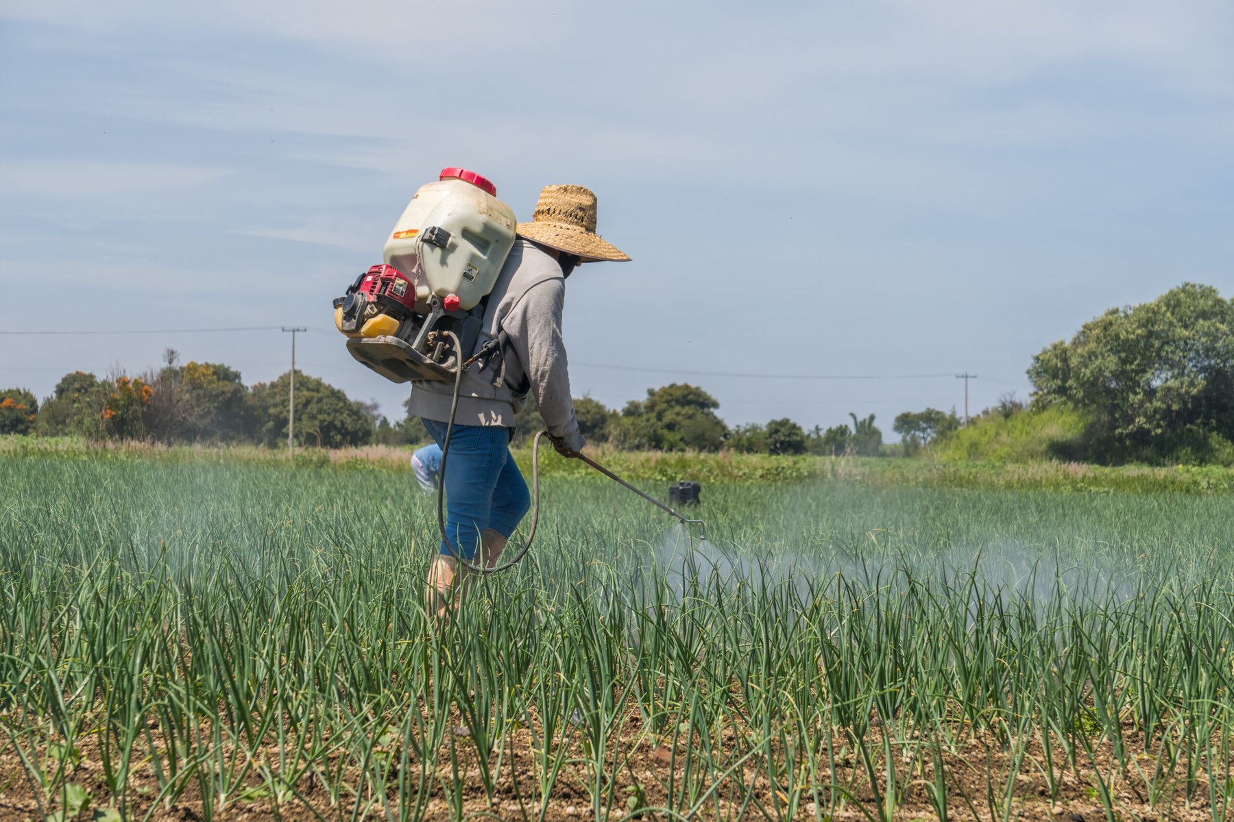 Mexican farmers seek tariff relief on Chinese fertilizers as supply risks mount