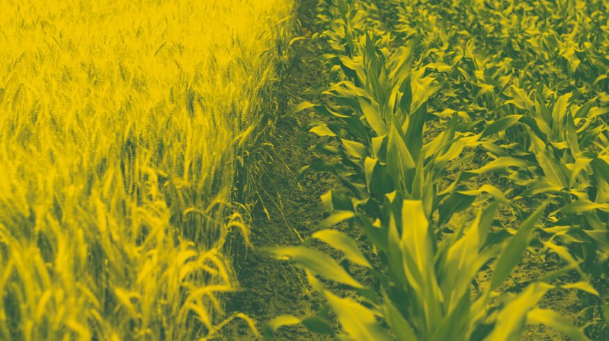 MustGrow to shut Canadian unit, shift focus to U.S. biofertility market