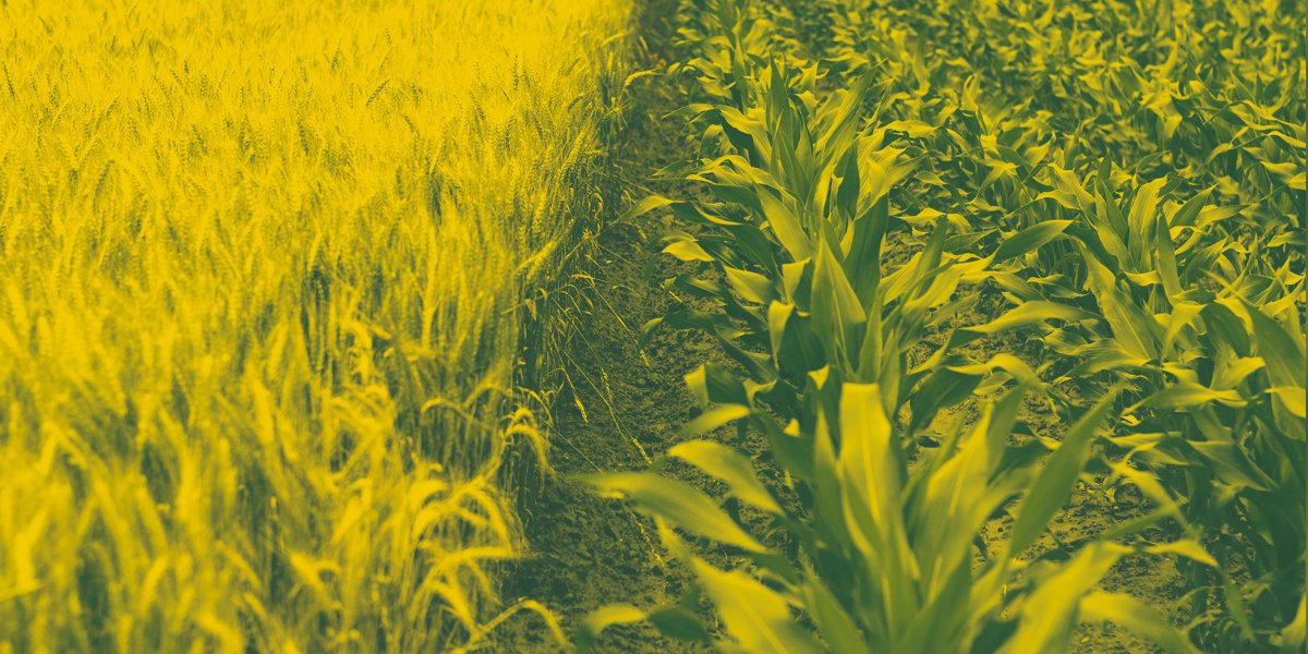 MustGrow to shut Canadian unit, shift focus to U.S. biofertility market