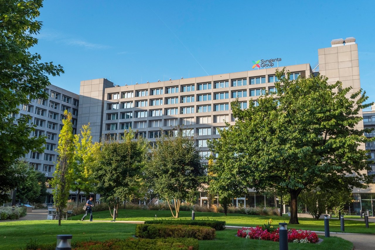 Syngenta partners with Groundwork BioAg to market mycorrhizal biologicals and carbon credits