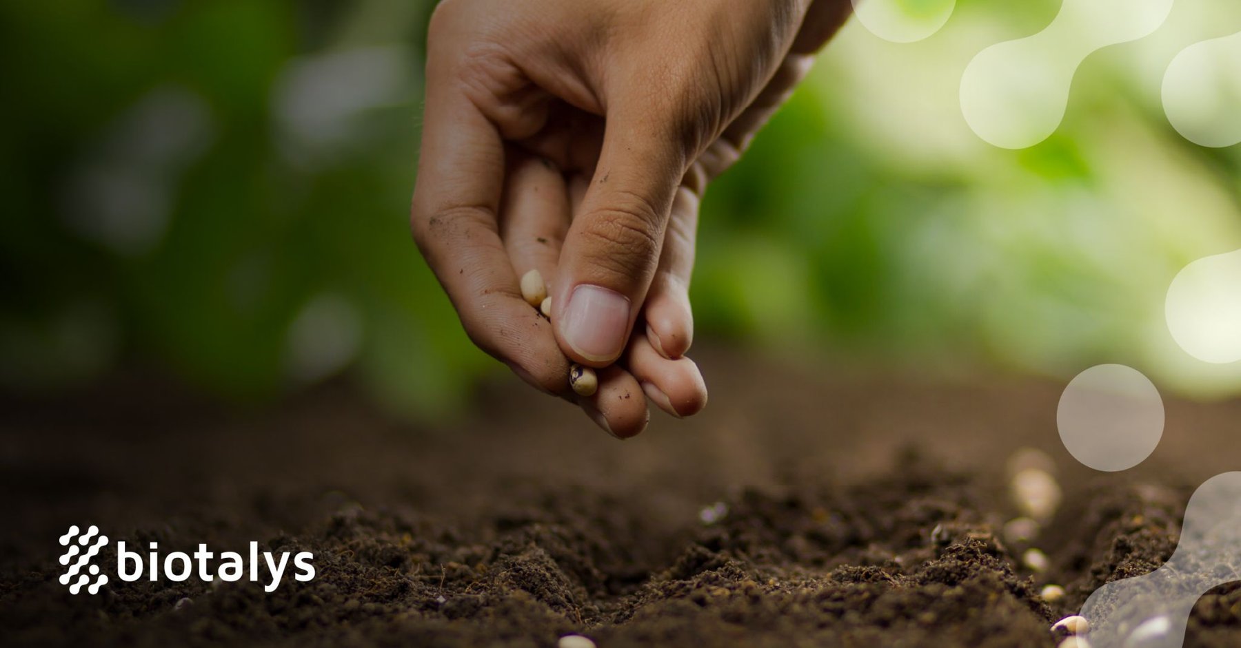Biotalys raises €12.05M from existing investors to advance protein-based biofungicide pipeline
