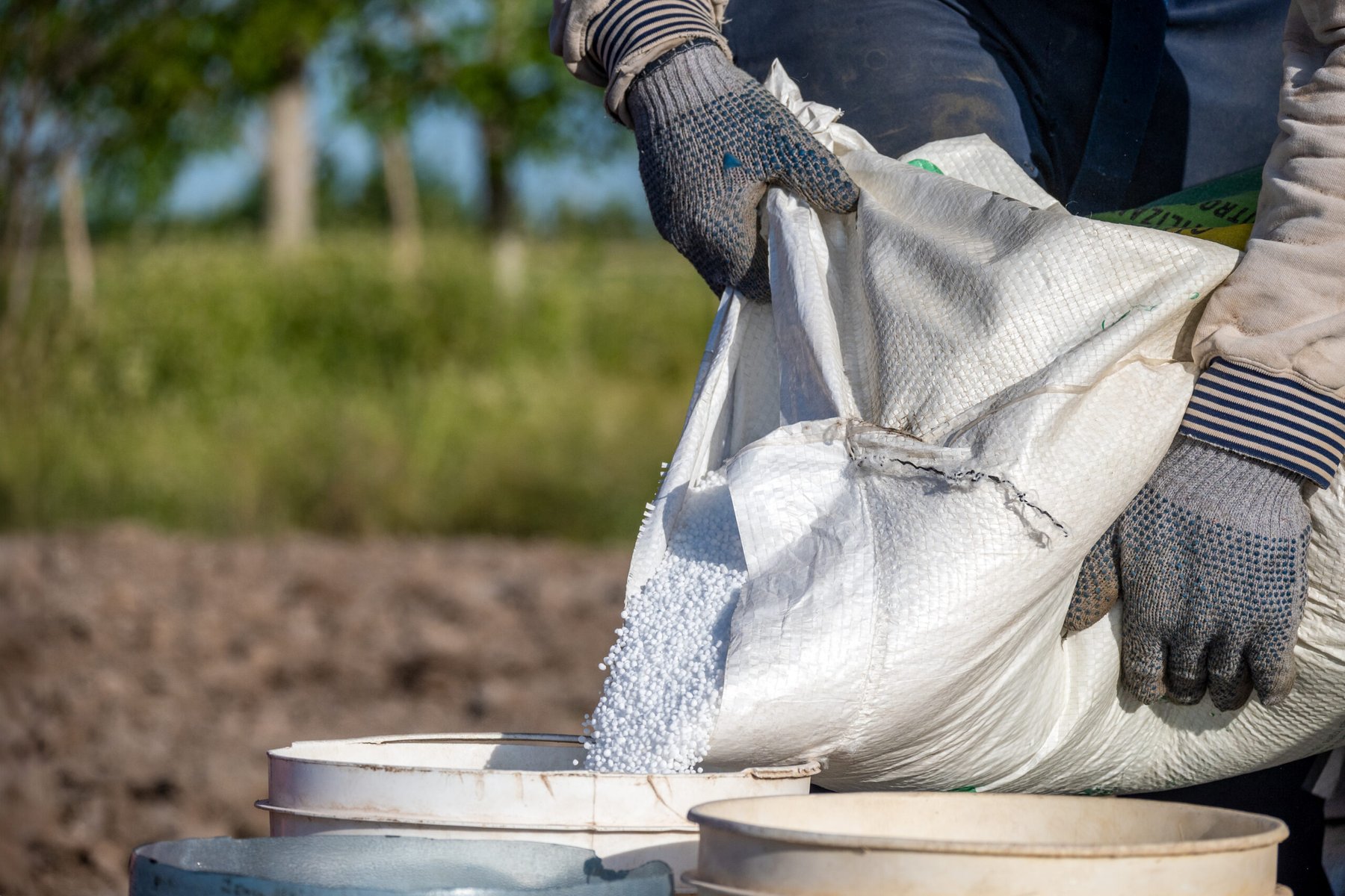 Urea drops 19% from monthly peak but remains 22% above year-ago levels