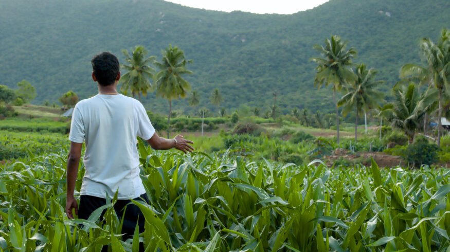 India faces twin threat of heat waves and fertilizer shortages ahead of key planting season