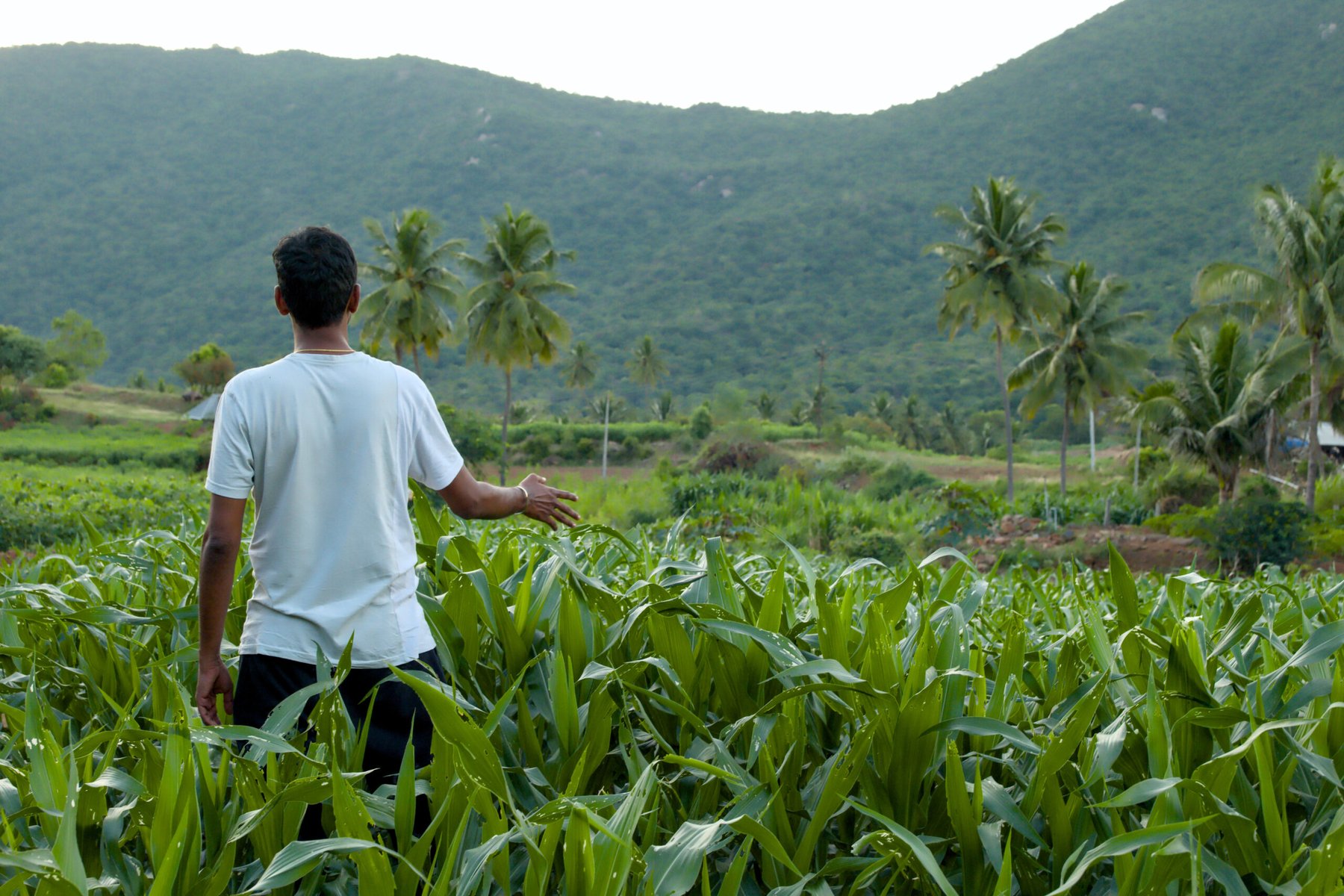 India faces twin threat of heat waves and fertilizer shortages ahead of key planting season