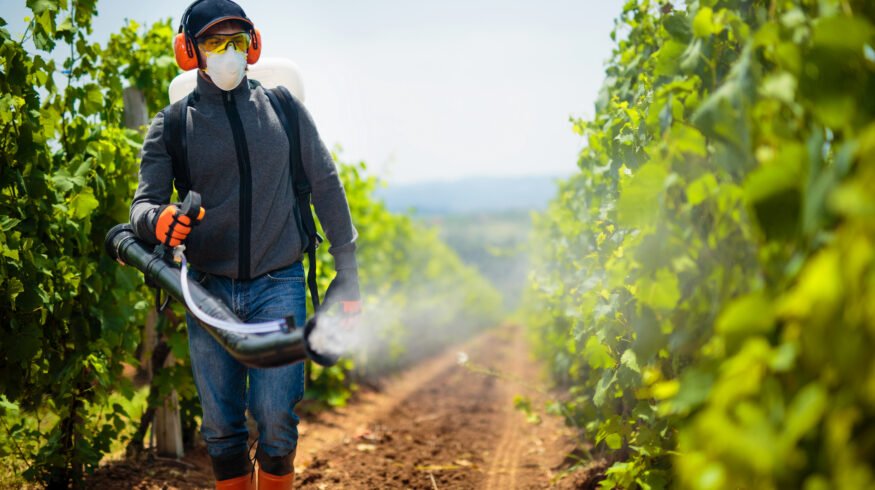 University of Waterloo researchers developed a nanotechnology-based pesticide spray that reduces runoff and enhances crop adhesion