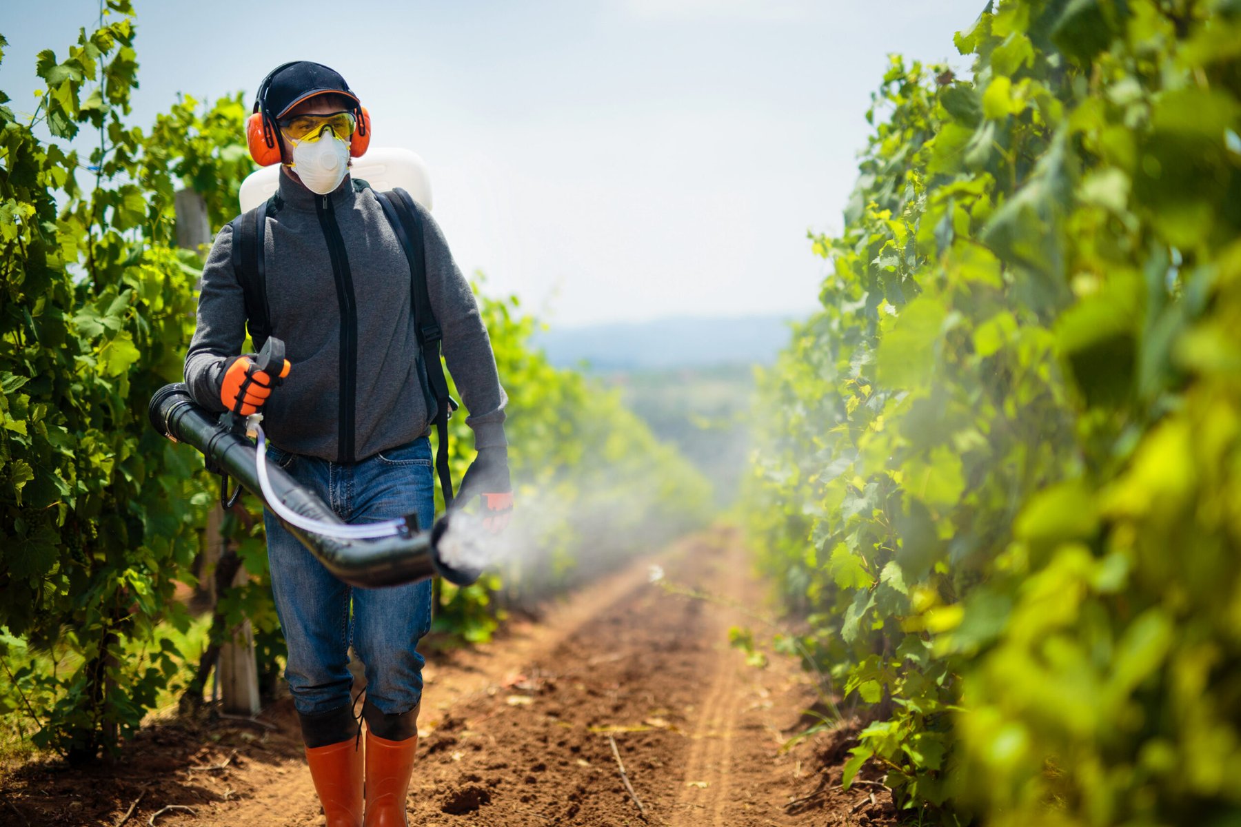 University of Waterloo researchers developed a nanotechnology-based pesticide spray that reduces runoff and enhances crop adhesion