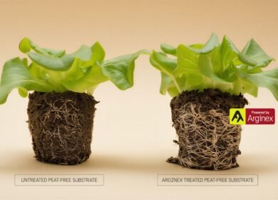 Arevo introduces Arginex to tackle nitrogen loss in peat-free substrates