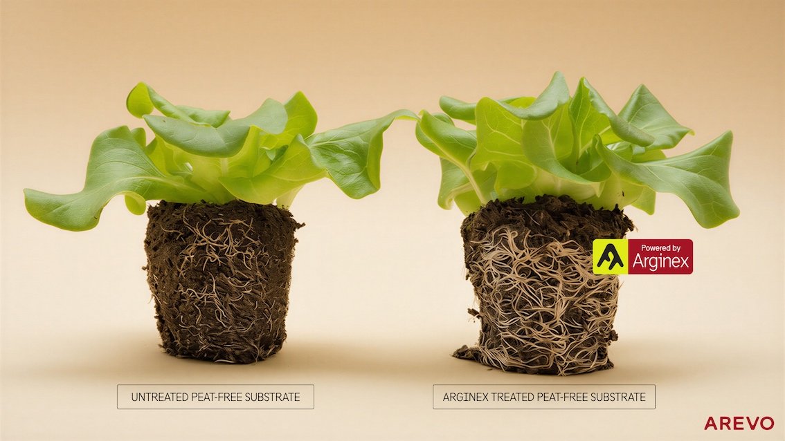 Arevo introduces Arginex to tackle nitrogen loss in peat-free substrates