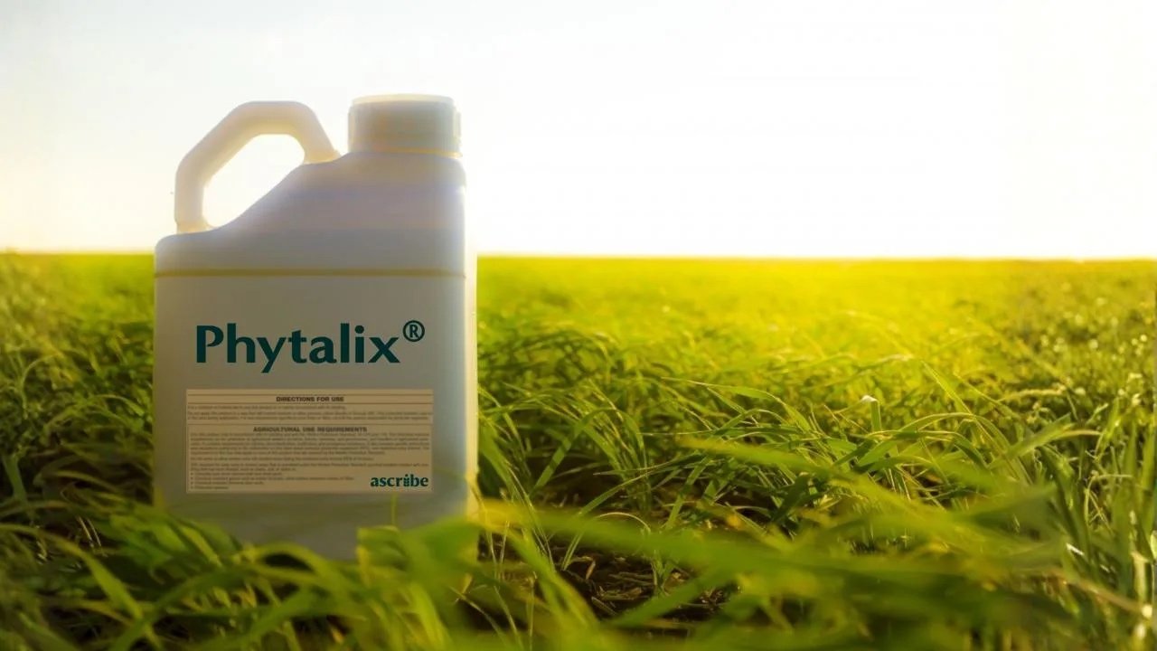 Ascribe Bio and Corteva target seed-treatment biologicals with Phytalix collaboration