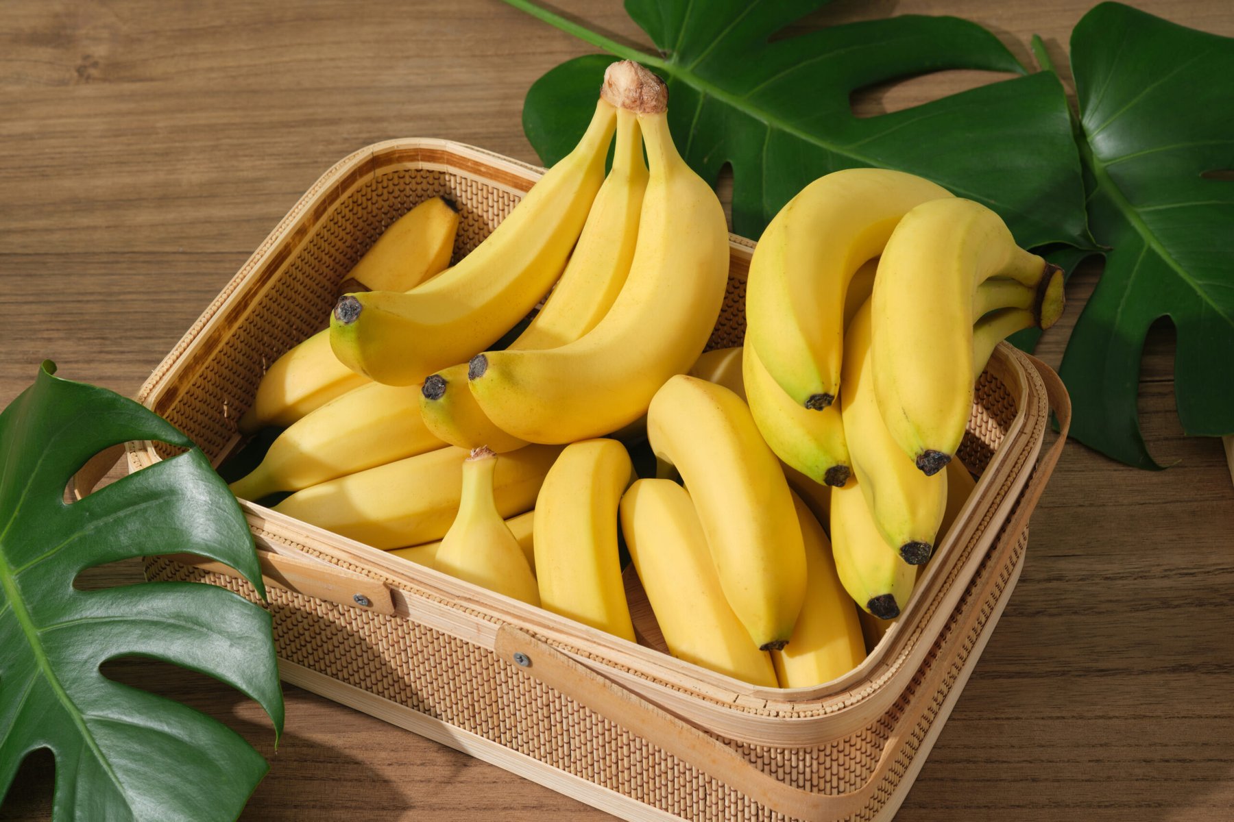 Tropic raises $105M to scale gene-edited bananas and deploy TR4-resistant varieties from 2027
